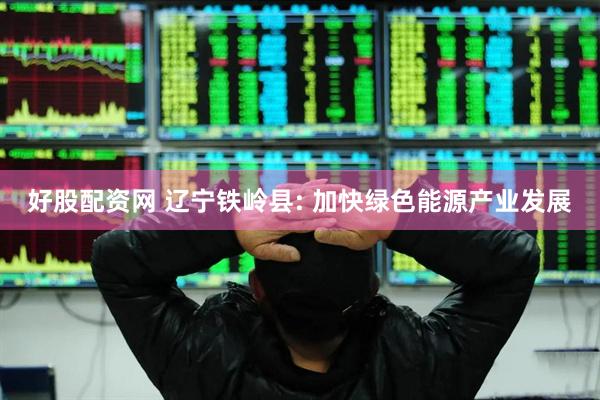 好股配资网 辽宁铁岭县: 加快绿色能源产业发展
