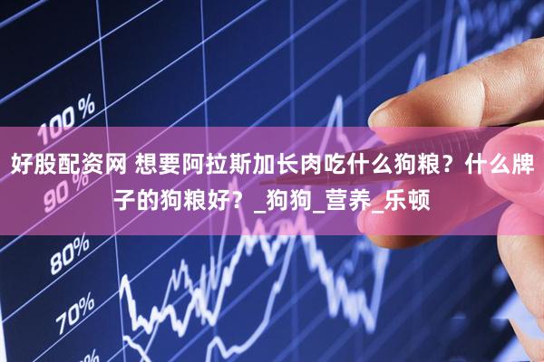 好股配资网 想要阿拉斯加长肉吃什么狗粮？什么牌子的狗粮好？_狗狗_营养_乐顿