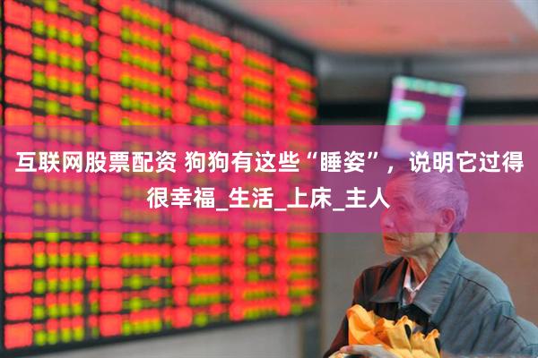 互联网股票配资 狗狗有这些“睡姿”，说明它过得很幸福_生活_上床_主人